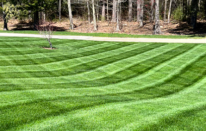 Sun City Basic Service 2026