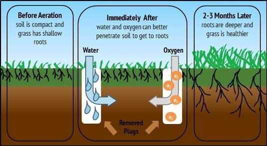 Aeration Sun City